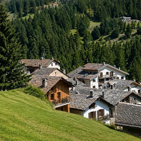 Cozy Apartment, Private Entrance,