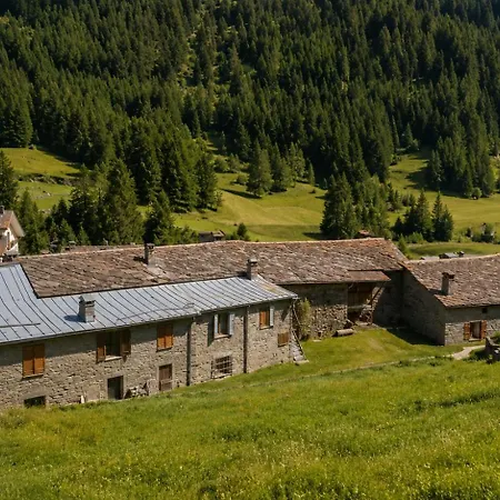 Cozy Apartment, Private Entrance, *