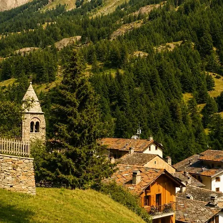 Cozy Apartment, Private Entrance,